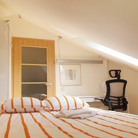 Exceptional Uzupis Bridge 3 bedroom apartment VNO Buitenkant foto