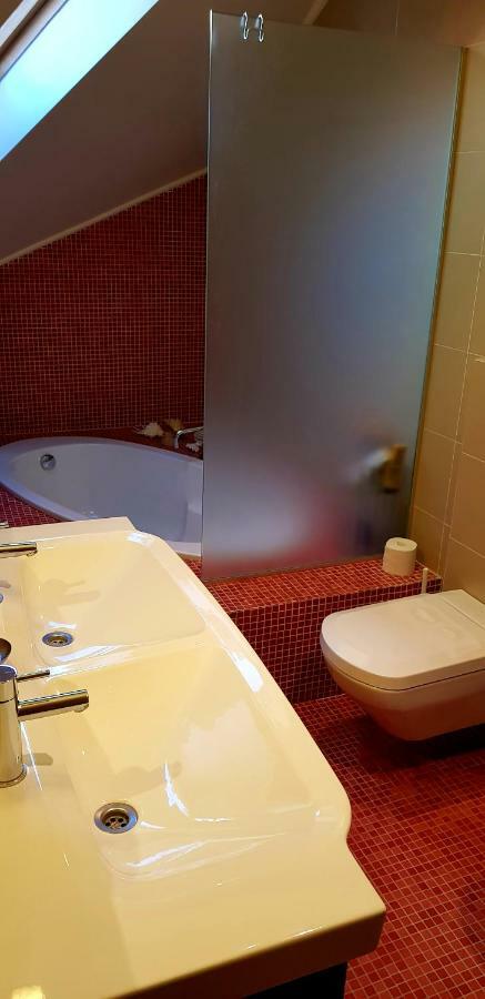 Exceptional Uzupis Bridge 3 bedroom apartment VNO Buitenkant foto