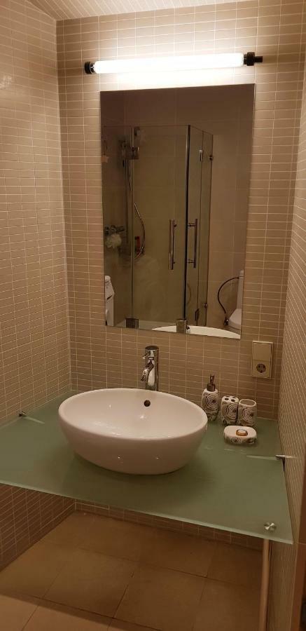 Exceptional Uzupis Bridge 3 bedroom apartment VNO Buitenkant foto