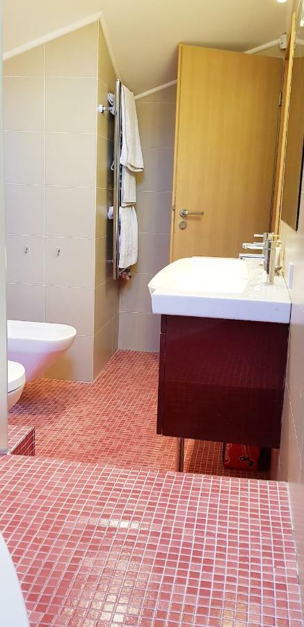 Exceptional Uzupis Bridge 3 bedroom apartment VNO Buitenkant foto