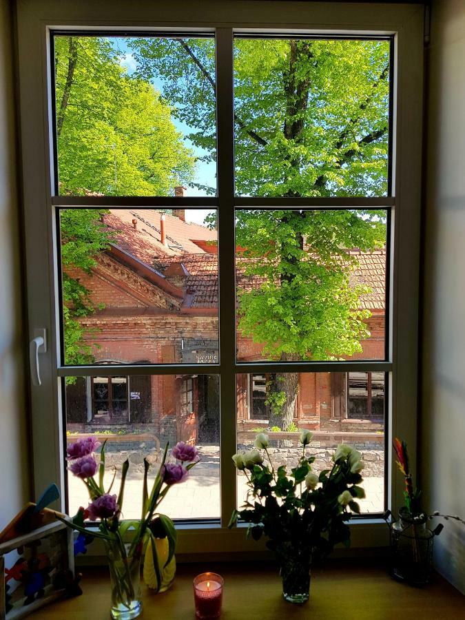 Exceptional Uzupis Bridge 3 bedroom apartment VNO Buitenkant foto