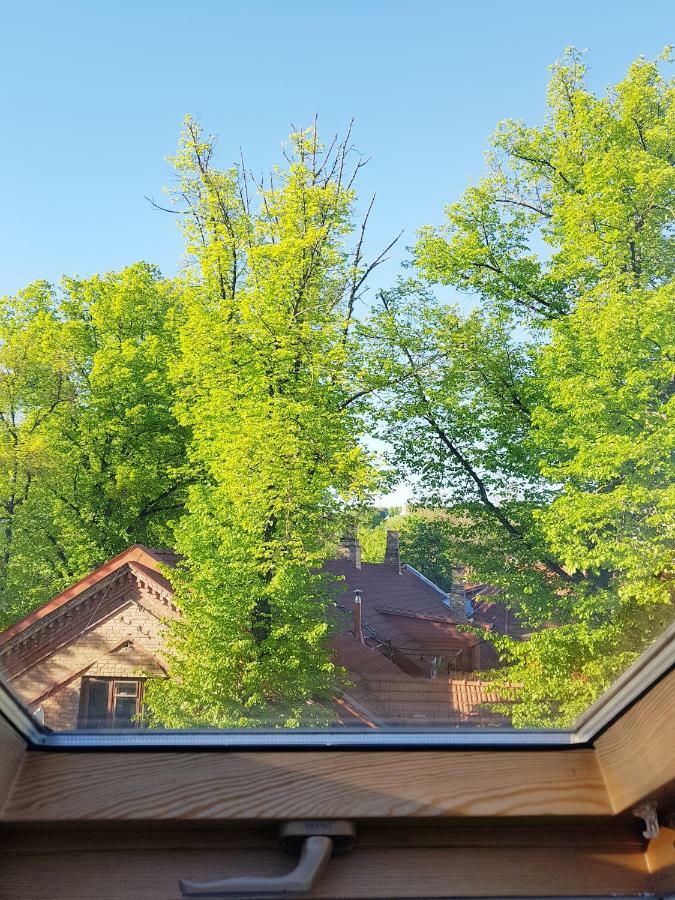 Exceptional Uzupis Bridge 3 bedroom apartment VNO Buitenkant foto