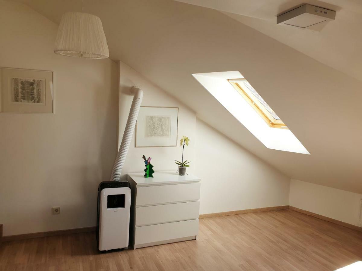 Exceptional Uzupis Bridge 3 bedroom apartment VNO Buitenkant foto