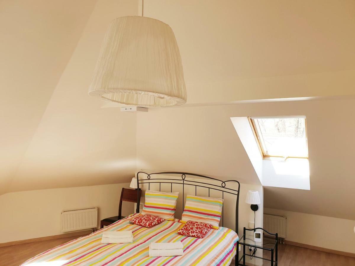 Exceptional Uzupis Bridge 3 bedroom apartment VNO Buitenkant foto